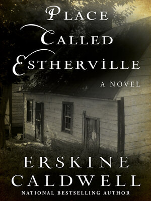 cover image of Place Called Estherville